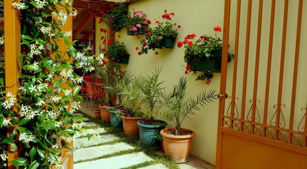Kruja Hotel Tiranë Luaran gambar