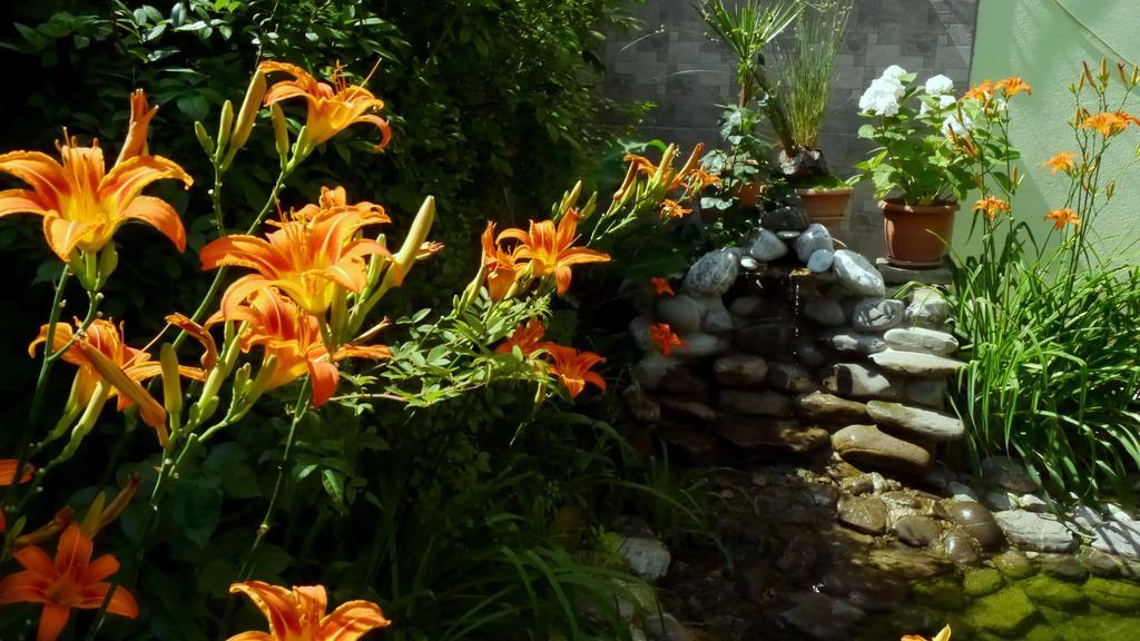 Kruja Hotel Tiranë Luaran gambar